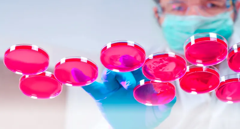 Laboratorul de microbiologie ICA R&D